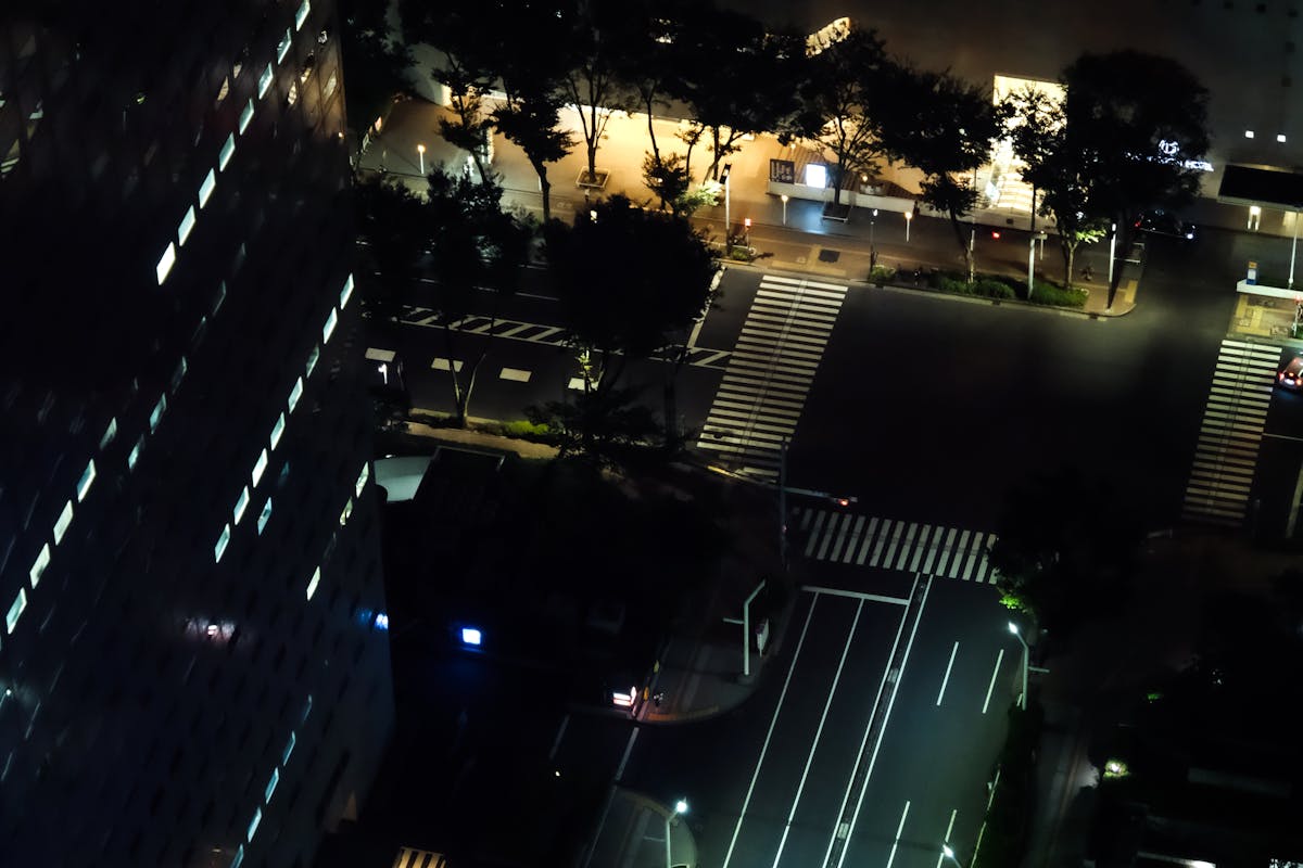東京の夜景｜『シン・ニホン』書評